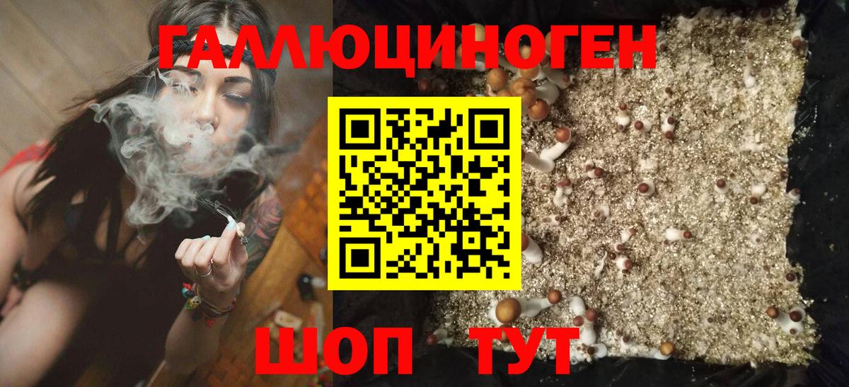 Нижнекамск  Галлюциногенные грибы ЛСД  Вход с VPN 